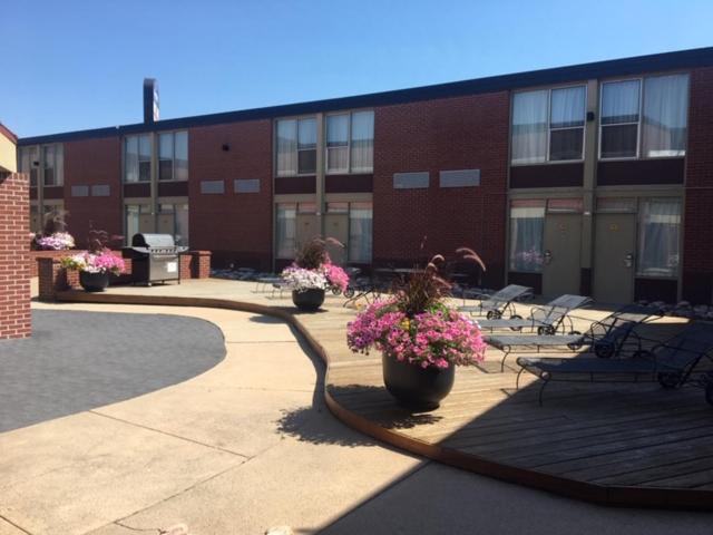 Boarders Inn & Suites By Cobblestone Hotels - Grand Island Eksteriør bilde